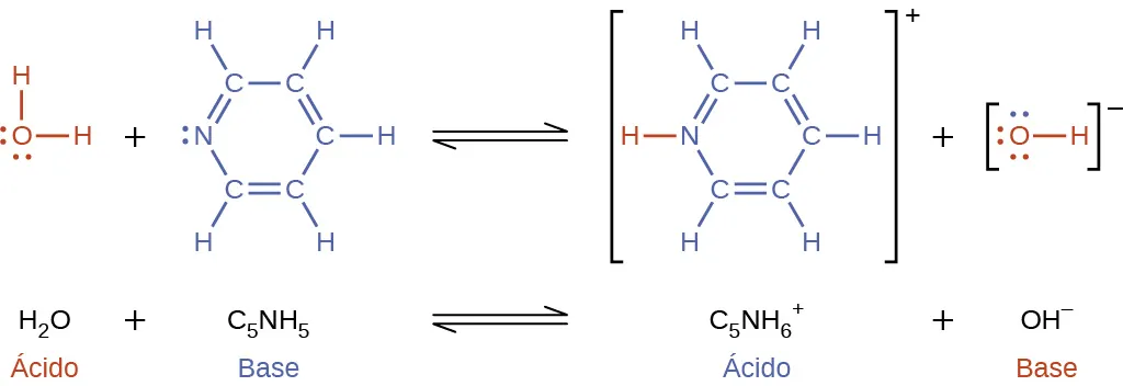 Esta figura tiene dos filas. En ambas filas se muestra una reacción química. En la primera, se proporcionan fórmulas estructurales. En este modelo, en rojo, hay un átomo de O que tiene enlaces simples con átomos de H por encima y a la derecha. El átomo de O tiene pares de electrones solitarios en sus lados izquierdo e inferior. Esto va seguido de un signo de suma. El signo de suma va seguido, en azul, de un átomo de N con un par de electrones solitarios. El átomo de N forma un doble enlace con un átomo de C, que forma un enlace simple con un átomo de C. El segundo átomo de C forma un doble enlace con otro átomo de C, que forma un enlace simple con otro átomo de C. El cuarto átomo de C forma un doble enlace con un quinto átomo de C, que forma un enlace simple con el átomo de N. Esto crea una estructura de anillo. Cada átomo de C también tiene un enlace con un átomo de H. Una flecha de equilibrio sigue esta estructura. A la derecha, entre paréntesis, hay una estructura en la que aparece un átomo de N que tiene un enlace con un átomo de H, que es de color rojo. El átomo de N forma un doble enlace con un átomo de C, que forma un enlace simple con un átomo de C. El segundo átomo de C forma un doble enlace con otro átomo de C, que forma un enlace simple con otro átomo de C. El cuarto átomo de C forma un doble enlace con un quinto átomo de C, que forma un enlace simple con el átomo de N. Esto crea una estructura de anillo. Cada átomo de C también tiene un enlace con un átomo de H. Fuera de los paréntesis, a la derecha, hay un superíndice de signo positivo. Esta estructura va seguida de un signo de suma. También aparece otra estructura entre paréntesis. Un átomo de O con tres pares de electrones solitarios que tiene un enlace con átomo de H. Hay un superíndice de signo negativo fuera de los paréntesis. A la derecha aparece la ecuación: k es igual a [ C subíndice 5 N H subíndice 6 superíndice signo positivo ] [ O H superíndice signo negativo] todo dividido entre [ C subíndice 5 N H subíndice 5 ]. Bajo la ecuación inicial, aparece esta ecuación: H subíndice 2 más C subíndice 5 N H subíndice 5 flecha de equilibrio C subíndice 5 N H subíndice 6 signo positivo más O H signo negativo. H subíndice 2 O está etiquetado como "ácido" en rojo. C subíndice 5 N H subíndice 5 está etiquetado como "base" en azul. C subíndice 5 N H subíndice 6 superíndice signo positivo está etiquetado como "ácido" en azul. O H superíndice negativo está etiquetado como "base" en rojo.