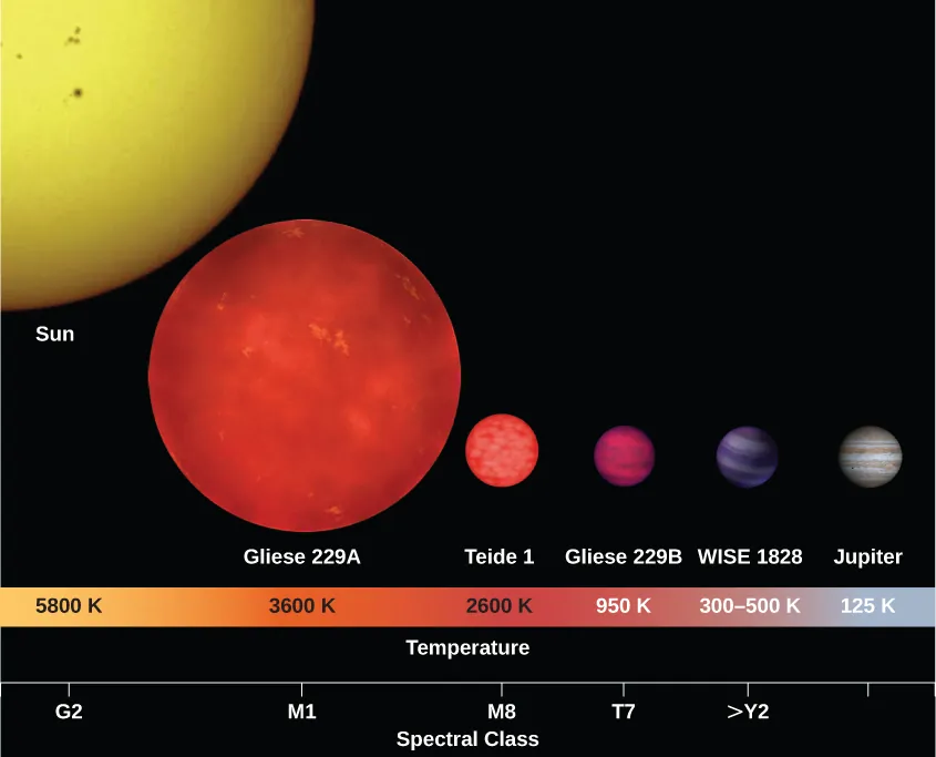 Figure illustrating the relative sizes and temperatures of brown dwarf stars compared to the Sun, a red dwarf and Jupiter. At bottom is a spectral class / temperature scale for the stars plotted. From left: G2 / 5800 K for the Sun, M1/ 3600 K for red dwarf Gliese 229A, M8 / 2600 K for brown dwarf Teide 1, T7 / 950 K for brown dwarf Gliese 229B, >Y2 / 300-500 K for WISE1828, and no spectral type / 125 K for Jupiter. The main portion of the figure shows the stars to scale, with the Sun by far the largest, followed by Gliese 229A being about ½ the size of the Sun, then Teide 1, Gliese 229B, and WISE1828, each being about the size of Jupiter.
