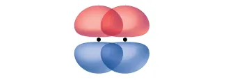 Se muestran dos orbitales en forma de maní, situados verticalmente y paralelos entre sí. Se superponen entre sí a lo largo de la parte superior e inferior del orbital.
