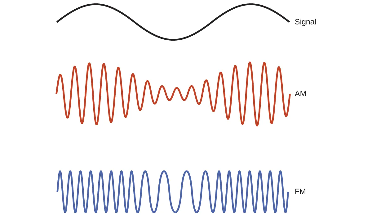 This figure shows 3 wave diagrams. The first wave diagram is in black and shows two crests, indicates a consistent distance from peak to trough, and has one trough in its span across the page. The label, “Signal,” appears to the right. Just below this, a wave diagram is shown in red. The wave includes sixteen crests, but the distance from the peaks to troughs of consecutive waves varies moving across the page. The peak to trough distance is greatest in the region below the peaks of the black wave diagram, and the distance from peak to trough is similarly least below the trough of the black wave diagram. This red wave diagram is labeled, “A M.” The third wave diagram is shown in blue. The distance from peak to trough of consecutive waves is constant across the page, but the peaks and troughs are more closely packed in the region below the peaks of the black wave diagram at the top of the figure. The peaks and troughs are relatively widely spaced below the trough region of the black wave diagram. This blue wave diagram is labeled “F M.”