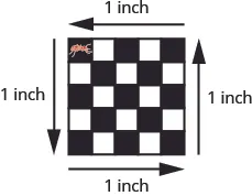 A 5 square by 5 square checkerboard is shown with each side labeled 1 inch. An image of an ant is shown on the top left square.