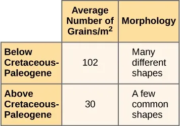 Table containing the following information. Below Cretaceous-Paleogene had 102 average number of grains/m2, and morphology of many different shapes. Above Cretaceous-Paleogene had 30 average number of grains/m2, and morphology of a few common shapes.