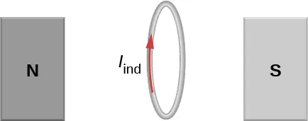 La figura muestra un bucle circular colocada entre dos polos de un electroimán de herradura.