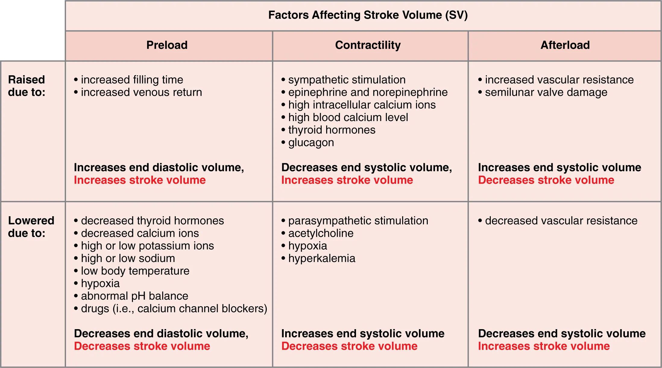 This table describes major factors influencing stroke volume. Preload may be raised due to longer filling time or increased venous return. These factors increase end diastolic volume and increase stroke volume. Preload may be lowered due to decreased thyroid hormones, decreased calcium ions, high or low potassium ions, high or low sodium, low body temperature, hypoxia, abnormal pH balance, or drugs (for example, calcium channel blockers). These factors decrease end diastolic volume and decrease stroke volume. Contractility may be raised due to sympathetic stimulation, epinephrine and norepinephrine, high intracellular calcium ions, high blood calcium level, thyroid hormones, or glucagon. These factors decrease end systolic volume and increase stroke volume. Contractility may be lowered due to parasympathetic stimulation, acetylcholine, hypoxia, or hyperkalemia. These factors increase end systolic volume and decrease stroke volume. Afterload may be raised due to increased vascular resistance or semilunar valve damage. These factors increase end systolic volume and decrease stroke volume. Afterload may be lowered due to decreased vascular resistance. This factor decreases end systolic volume and increases stroke volume.