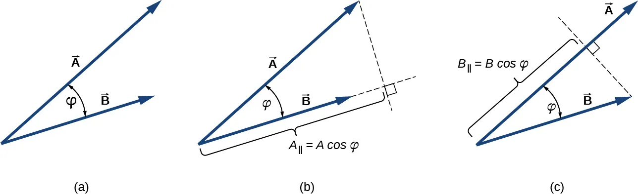 Figura a: los vectores A y B se muestran cola a cola. A es más largo que B. El ángulo entre ellos es phi. Figura b: El vector B se prolonga mediante una línea discontinua y se traza otra línea discontinua desde la cabeza de A hasta la prolongación de B, perpendicular a B. A sub perpendicular es igual a la magnitud de A por el coseno de phi y es la distancia desde el vértice donde se encuentran las colas de A y B hasta el lugar donde la perpendicular de A a B se encuentra con la prolongación de B. Figura c: Se traza una línea discontinua desde la cabeza de B hasta A, perpendicular a A. La distancia desde las colas de A y B hasta donde la línea discontinua se encuentra con B es B sub perpendicular y es igual a la magnitud B por el coseno de phi.