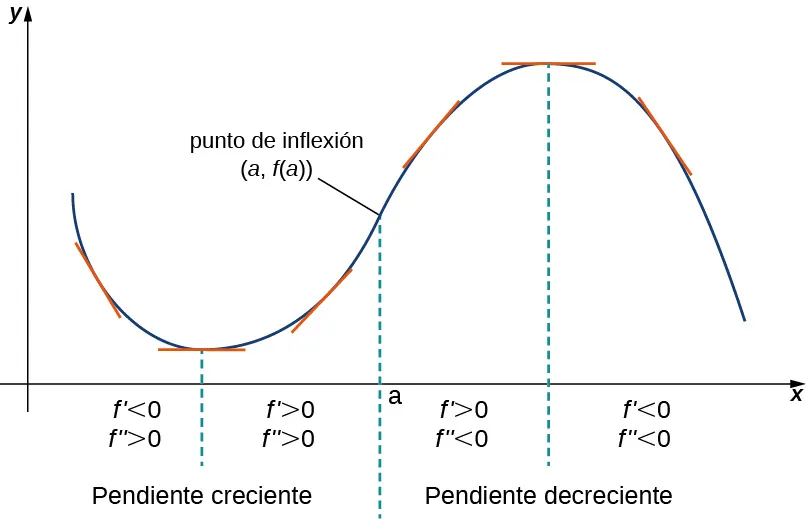 Se muestra una función sinusoidal que ha sido desplazada al primer cuadrante. La función comienza a decrecer, por lo que f' < 0 y f'' > 0. La función alcanza el mínimo local y comienza a aumentar, por lo que f' > 0 y f'' > 0. Se observa que la pendiente es creciente para estos dos intervalos. La función alcanza entonces un punto de inflexión (a, f(a)) y a partir de aquí la pendiente es decreciente aunque la función siga aumentando, por lo que f' > 0 y f'' < 0. La función alcanza el máximo y luego comienza a disminuir, por lo que f' < 0 y f'' < 0.