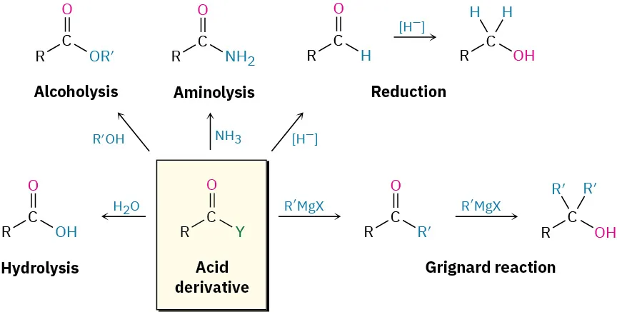 21.2 Nucleophilic Acyl Substitution Reactions - Organic Chemistry ...