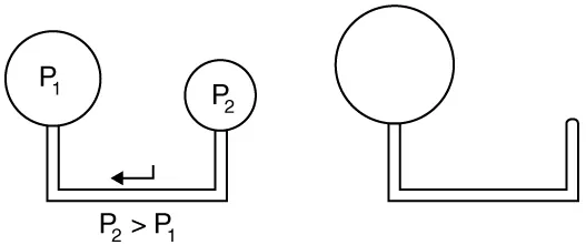 When two balloons are attached to the ends of a glass tube air flows from one to the other if their sizes are different.