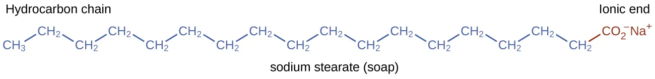 This figure shows a structural formula for soap known as sodium stearate. A hydrocarbon chain composed of 18 carbon atoms and 35 hydrogen atoms is shown with an ionic end with 2 oxygen atoms and a negative charge. A positively charged N a superscript plus is also shown at the ionic end.