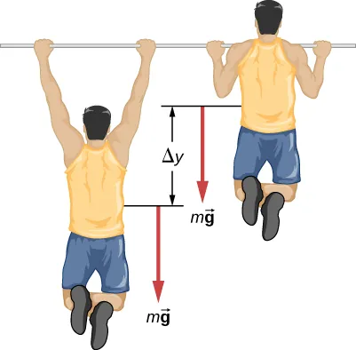La figura ilustra a una persona haciendo una dominada. La persona se desplaza una distancia vertical de delta y durante la dominada. Se muestra una fuerza descendente de m veces el vector g que actúa sobre la persona tanto en la posición superior como en la inferior de la dominada.