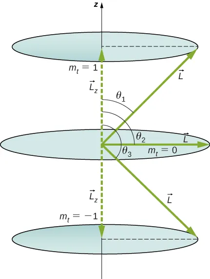 Rysunek pokazuje trzy możliwe wartości składowych momentu pędu wzdłuż osi z. Pokazano górną orbitę kołową dla m sub t = 1 przy L sub z. Wektor L tworzy kąt teta 1 z osią z. Promień orbity jest składową L prostopadłego do osi z. Pokazano środkową orbitę kołową dla m sub t = 0. Leży ona w płaszczyźnie x y. Wektor L Tworzy kąt teta 2, tworzący kąt 90 stopni z osią z. Promień orbity wynosi L. Pokazano najniżej leżącą orbitę kołową dla m sub t = -1 dla odległości L sub z. Wektor L tworzy kąt teta 3 z osią z. Promień orbity jest składową L prostopadłą do osi z.