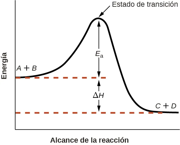 Se muestra un gráfico con la etiqueta "Alcance de la reacción" en el eje x y la etiqueta "Energía" en el eje y. Sobre el eje x, una parte de la curva está etiquetada como "A más B". Desde el extremo derecho de esta región, la curva cóncava descendente continúa hacia arriba hasta alcanzar un máximo cerca de la altura del eje y. El pico de esta curva está etiquetado como "Estado de transición". Una flecha de doble cara se extiende desde una línea horizontal roja discontinua que se origina en el eje y en un punto final común con la curva hasta el pico de la curva. Esta flecha está marcada como "E subíndice a". Se traza un segundo segmento de línea discontinua roja horizontal desde el extremo derecho de la curva negra hacia la izquierda hasta el eje vertical en un nivel significativamente inferior al extremo inicial de la curva etiquetada como "A más B". El extremo de la curva que se comparte con este segmento está etiquetado como "C más D". La curva, que inicialmente era discontinua, continúa como una curva sólida desde el máximo hasta su punto final en el lado derecho del diagrama. Se muestra una segunda flecha de doble cara. Esta flecha se extiende entre las dos líneas horizontales discontinuas y está etiquetada como "delta mayúscula H".