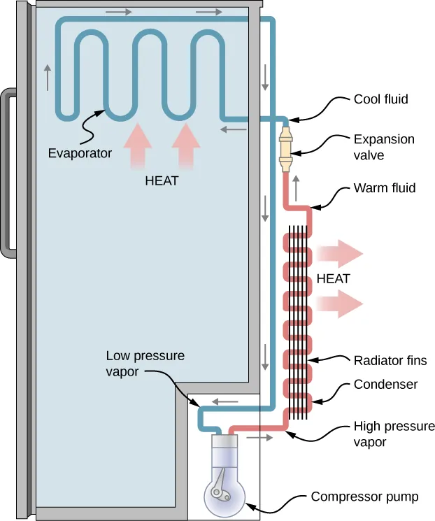 The figure shows schematic diagram and working of a refrigerator.