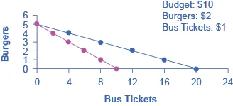 The graph shows how opportunity cost is affected by the purchase of either burgers or bus tickets. The opportunity cost of bus tickets is the number of burgers that must be given up to obtain one more bus ticket.