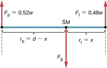 Rysunek przedstawia schematycznie rozkład ciężaru na osiach samochodu osobowego o rozstawie osi określonym jako d. Na równym podłożu 52% ciężaru naciska na przednie koła (oznaczone jako Fp),a 48% na tylne koła (oznaczone Ft). Odległość między tylną osią a środkiem masy (oznaczona rt) wynosi x. Odległość pomiędzy przednią osią a środkiem masy (oznaczona rp) wynosi d_x.