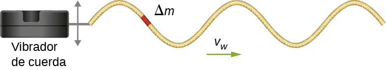La figura muestra un recuadro a la izquierda identificado como vibrador de cuerda. Se ata una cuerda a este y forma una onda transversal que se propaga hacia la derecha con velocidad v subíndice w. Una pequeña porción de la cuerda está resaltada e identificada como delta m.