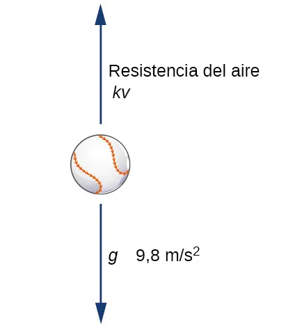 Un diagrama de una pelota de béisbol con una flecha por encima que apunta hacia arriba y una flecha por debajo que apunta hacia abajo. La flecha superior está etiquetada como "resistencia del aire -kv" y la flecha inferior como "g = –9,8 m/s ^ 2".