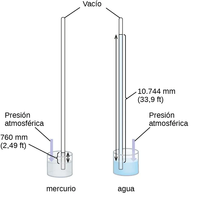 Esta figura muestra dos barómetros. El barómetro de la izquierda contiene un depósito poco profundo, o recipiente abierto, de mercurio. Un tubo estrecho se extiende hacia arriba desde el depósito por encima del mismo y está sellado en la parte superior. A la derecha, se muestra un segundo montaje similar con un depósito lleno de agua. Los segmentos de línea conectan la marca "vacío" con la parte superior de los dos tubos estrechos. El tubo de la izquierda muestra el mercurio del depósito extendiéndose en una columna hacia arriba en el tubo estrecho. Del mismo modo, el tubo de la derecha muestra el agua del depósito que se extiende hacia arriba en el tubo estrecho relacionado. Las flechas de doble punta se extienden desde la superficie de cada líquido en el depósito hasta la parte superior del líquido en cada tubo. Una columna o barra estrecha se extiende desde la superficie del depósito hasta la misma altura. Esta barra está marcada como "presión atmosférica". El nivel del agua en su tubo es significativamente más alto que el nivel de mercurio en su tubo.