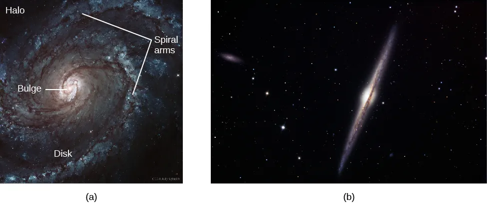 Two Views of Spiral Galaxies. In panel (a), at left, the face-on spiral M100 is shown with the major components labeled. At center is the “Bulge”, the “Spiral arms” are indicated with arrows at top and to the right, the spiral arms lie within the “Disk” and the “Halo” surrounds most of the galaxy as a whole. Panel (b), at right, shows spiral galaxy NGC4565 that is edge-on. It appears as a thin sliver of light, with a dark dust lane bisecting the entire length and a central bulge somewhat thicker than the thin disk.