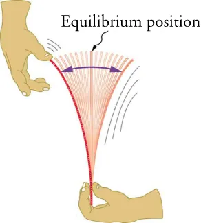 A drawing is shown of hands holding and flicking an upright ruler. A double-ended arrow is shown over the ruler and a label Equilibrium position points to the upright position of the ruler.