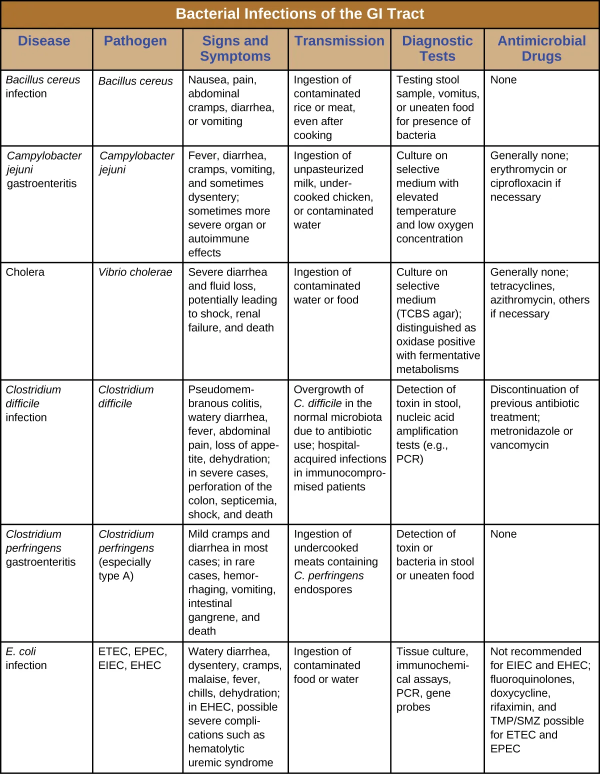 Table titled: Bacterial Infections of the GI Tract. Columns: Disease, Pathogen, Signs and Symptoms, Transmission, Diagnostic Tests, Antimicrobial Drugs. Bacillus cereus infection, Bacillus cereus; Nausea, pain, abdominal cramps, diarrhea or vomiting ; Ingestion of contaminated rice or meat, even after cooking; Testing stool sample, vomitus, or uneaten food for presence of bacteria; None. Campylobacter jejuni gastroenteritis; Campylobacter jejuni; Fever, diarrhea, cramps, vomiting, and sometimes dysentery; sometimes more severe organ or autoimmune effects; Ingestion of unpasteurized milk, undercooked chicken, or contaminated water; Culture on selective medium with elevated temperature and low oxygen concentration; Generally none; erythromycin or ciprofloxacin if necessary. Cholera; Vibrio cholera; Severe diarrhea and fluid loss, potentially leading to shock, renal failure, and death; Ingestion of contaminated water or food; Culture on selective medium (TCBS agar); distinguished as oxidase positive with fermentative metabolisms; Generally none; tetracyclines, azithromycin, others if necessary. Clostridium difficile infection; Clostridium difficile; Pseudomembranous colitis, watery diarrhea, fever, abdominal pain, loss of appetite, dehydration; in severe cases, perforation of the colon, septicemia, shock, and death; Overgrowth of C. difficile in the normal microbiota due to antibiotic use; hospital-acquired infections in immunocompromised patients; Detection of toxin in stool, nucleic acid amplification tests (e.g., PCR); Discontinuation of previous antibiotic treatment; metronidazole or vancomycin. Clostridium perfringens gastroenteritis; Clostridium perfringens (especially type A); Mild cramps and diarrhea in most cases; in rare cases, hemorrhaging, vomiting, intestinal gangrene, and death; Ingestion of undercooked meats containing C. perfringens endospores; Detection of toxin or bacteria in stool or uneaten food; None. E. coli infection; ETEC, EPEC, EIEC, EHEC ; Watery diarrhea, dysentery, cramps, malaise, fever, chills, dehydration; in EHEC, possible severe complications such as hematolytic uremic syndrome; Ingestion of contaminated food or water; Tissue culture, immunochemical assays, PCR, gene probes; Not recommended for EIEC and EHEC; fluoroquinolones, doxycycline, rifaximin, and TMP/SMZ possible for ETEC and EPEC.