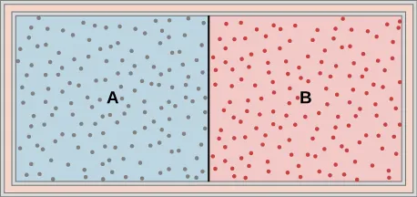 La figura es una ilustración de un recipiente con una división en el centro que lo separa en dos cámaras. Las paredes exteriores están aisladas. La cámara de la izquierda está identificada con una A y está llena de un gas, lo que se indica por el sombreado azul y muchos puntos pequeños que representan las moléculas de gas. La cámara de la derecha está identificada con una B y está llena de un segundo gas, lo que se indica por el sombreado rojo y muchos puntos pequeños que representan las moléculas de gas.