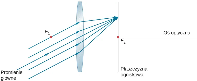Figura przedstawia promienie równoległe do siebie ale nie równoległe do osi optycznej, które wchodzą do dwuwypukłej soczewki i przecinają się po drugiej stronie soczewki w płaszczyźnie ogniskowej. Linia prostopadła do osi optycznej i przechodząca przez ognisko to płaszczyzna ogniskowa.