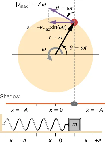 A comparison of the angular location of a peg on a rotating disk, the position of its shadow, and the position of a mass oscillating on a horizontal spring. The disk has radius r = A and rotates counterclockwise with angular velocity omega. The angular position of the peg, theta, is zero when the peg is directly to the right of the center of the disk and is equal to omega t at the time shown. The linear velocity of the peg is shown as a vector tangent to the circle at the edge of the disk. It has magnitude v sub max which is equal to A omega. Its x component is a horizontal leftward vector – v sub max times sine omega t. The peg casts a shadow on a horizontal line. The spring is attached to a wall on the left and a mass on the right. The position of the mass and the shadow is x, where x=0 is directly below the center of the disk, x=-A is directly below the left edge of the disk, and x=+A is directly below the right edge of the disk. In the figure, the peg is in the first quadrant. Its shadow and the mass are both at a position x between 0 and plus A (it appears to be at x = A/2 in the figure.)