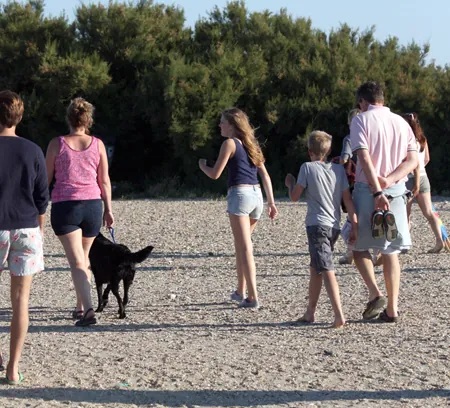 Photo (a) shows a family walking with a dog on a beach. Photo