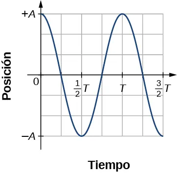 Un gráfico de la posición en el eje vertical como una función de tiempo en el eje horizontal. La escala vertical va de –A a +A y la horizontal de 0 a 3/2 T. La curva es una función coseno, con un valor de +A en el tiempo cero y otro en el tiempo T.
