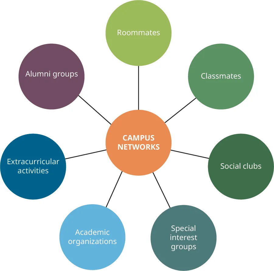 A figure showing Campus Networks in the middle, connected to Roommates, Classmates, Social clubs, Special interest groups, Academic organizations, Extracurricular activities, and Alumni groups.