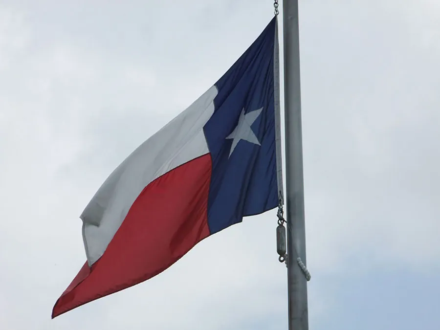 The Texas state flag is shown here.