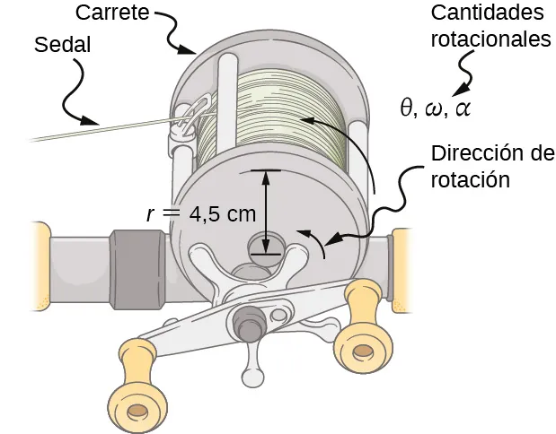 La figura es el dibujo de un sedal que sale de un carrete en rotación. El radio de rotación es de 4,5 cm; la rotación se produce en el sentido contrario de las agujas del reloj.