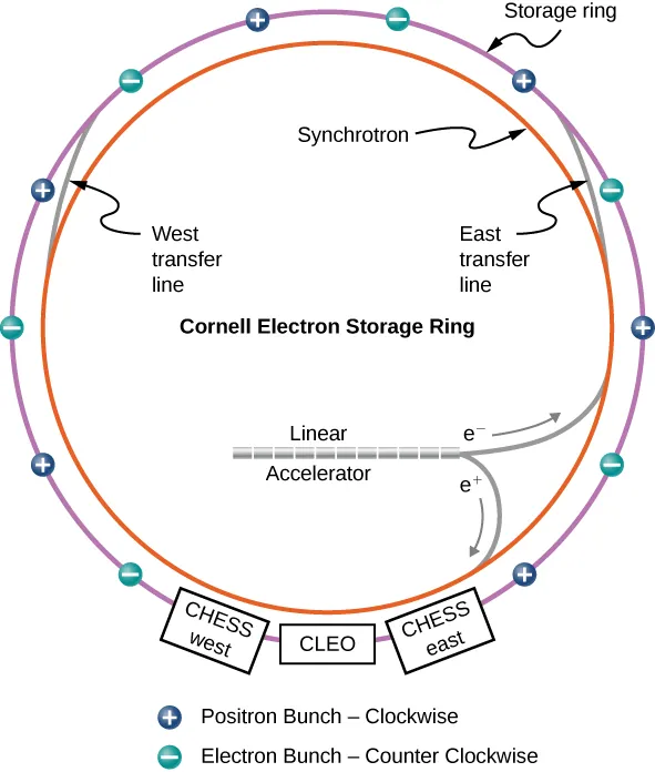 Figure shows two rings, one inside the other. The outer ring is labeled storage ring. Along it are small circles alternately labeled plus and minus. The circles with plus sign are positron bunch, clockwise. The circles with negative sign are electron bunch, counter clockwise. The outer ring also has three boxes along it at the bottom. From left to right, these are labeled CHESS west, CLEO and CHESS east. The inner ring is labeled Synchrotron. Two lines connect it to the outer ring. The line on the left is West transfer line and the one on the right is East transfer line. A tube within the inner ring is labeled Linear Accelerator. Two lines labeled e plus and e minus connect it to the inner ring.