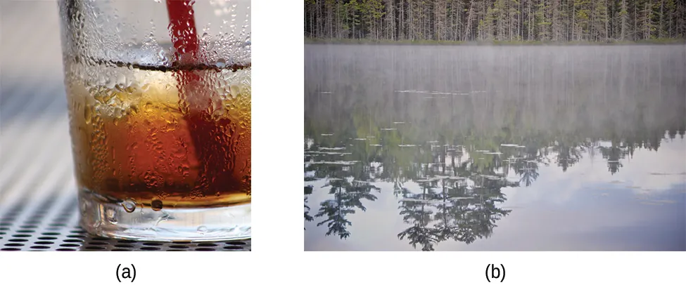 Image a shows a brown colored beverage in a glass with condensation on the outside. Image b shows a body of water with fog hovering above the surface of the water.