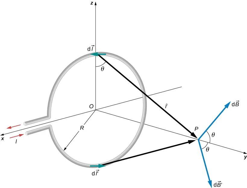 Rysunek przedstawia okrągłą pętlę o promieniu R przewodzącą prąd l i leżącą w płaszczyźnie xz. Punkt P jest umieszczony ponad środkiem pętli. Theta jest kątem utworzonym przez wektor z pętli do punktu P i płaszczyznę pętli. Jest równy kątowi utworzonemu przez wektor dB z punktu P i osi y.