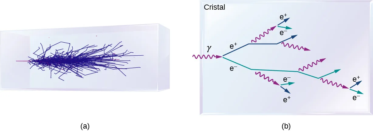 La figura a muestra el patrón de líneas azules dentro de un cristal rectangular. La figura b muestra un cristal. Un rayo gama entra en él y se divide en dos rayos, e más y e menos. El rayo e más se divide además en un rayo gama y un rayo e más. El rayo e más se divide en un rayo gama y un rayo e más. La división continúa de la misma manera.