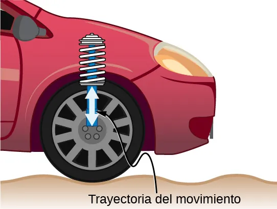 La figura muestra una rueda de un automóvil. Las flechas muestran el movimiento de subida y bajada de su resorte amortiguador.