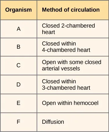 Two-column table: left head: Organism; right head: Method of circulation
 Organism A: Method: Closed- 2-chambered heart
 Organism B: Closed within 4-chambered heart
 Organism C: Open with some closed arterial vessels
 Organism D: Closed within 3-chambered heart
 Organism E: Open within hemocoel
 Organism F: Diffusion
