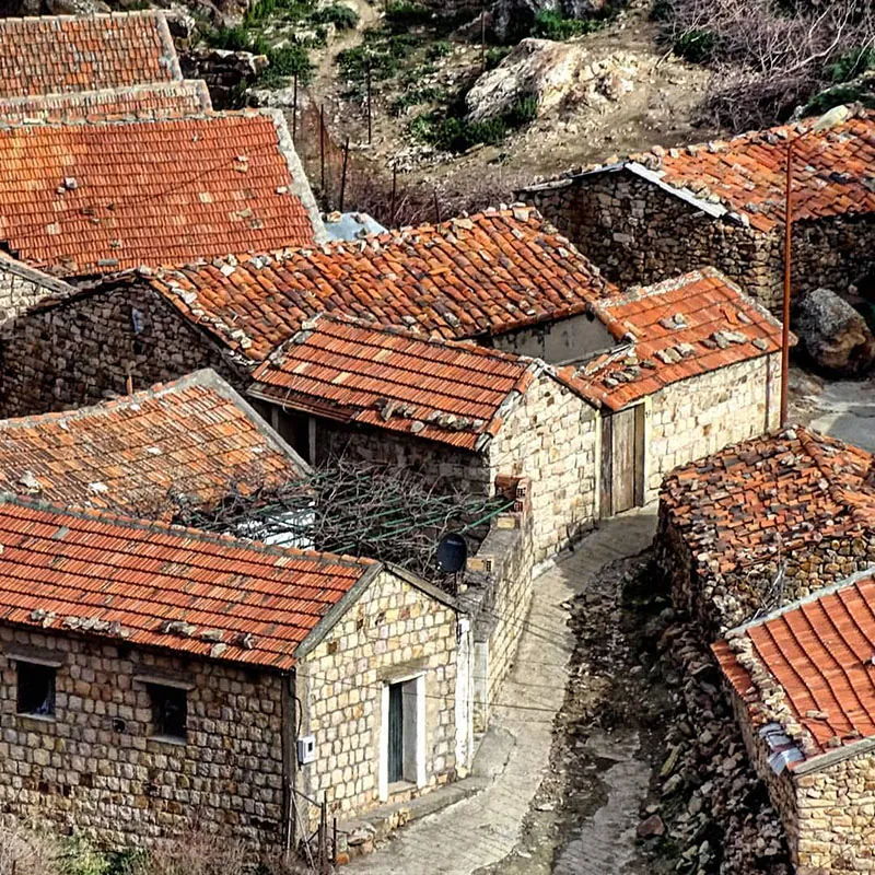 A color photograph of a group of building in Algeria, built by the Kabyle people. The single-story buildings are constructed of stone with tile roofs. They stand very near to one another, with only narrow passageways separating them. Many are constructed in an L-shape, with two separate portions connecting at a right angle.