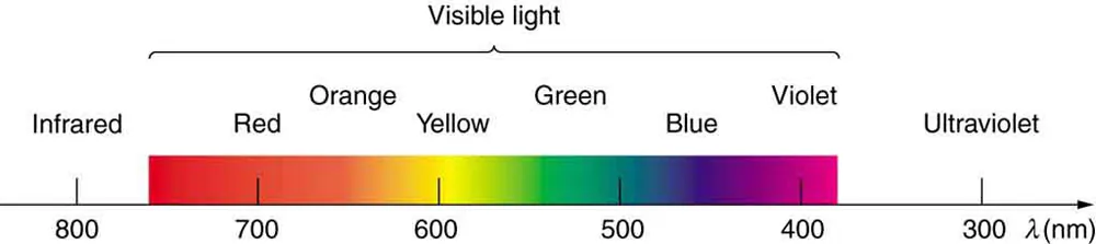 The visible strip of the electromagnetic spectrum is highlighted and shown in the picture. The wave length range is from eight hundred nanometers on the left to three hundred nanometers on the right. The divisions between infrared, visible, and ultraviolet are not perfectly distinct. The colors in the visible strip are also not perfectly distinct; they are marked as bands labeled from red on the left to violet on the right.