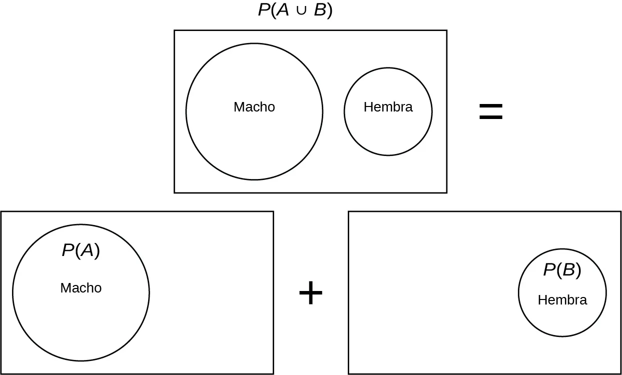 Los diagramas de Venn modelan la fórmula de P(A y B) en el caso especial de que A y B no se superpongan. P(A unión B) se representa mediante dos círculos separados (no superpuestos) dentro de un rectángulo. El círculo de la izquierda está identificado como macho. El círculo de la derecha está marcado como hembra. A la derecha de este diagrama hay un signo de igualdad. En la línea de abajo se observa una suma de diagramas. El diagrama de la izquierda muestra solo el círculo de macho dentro del rectángulo y está marcado como P(A). Entre los diagramas hay un signo de más. El diagrama de la derecha muestra solo el círculo de mujeres dentro del rectángulo y está marcado como P(B).