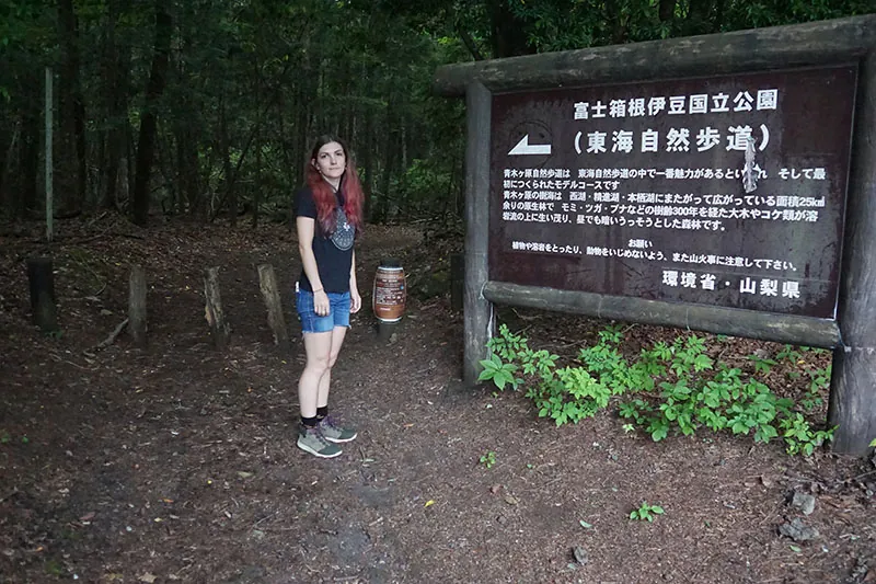 A very large sign at the edge of a forest. The sign contains a good deal of writing in Japanese.