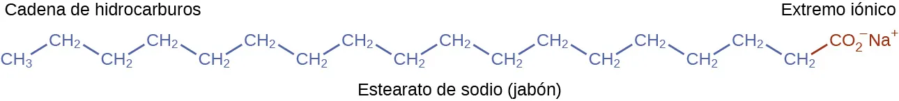 Esta figura muestra una fórmula estructural del jabón conocido como estearato de sodio. Se muestra una cadena de hidrocarburos compuesta por 18 átomos de carbono y 35 átomos de hidrógeno con un extremo iónico con 2 átomos de oxígeno y carga negativa. En el extremo iónico también se muestra un superíndice Na más cargado positivamente.