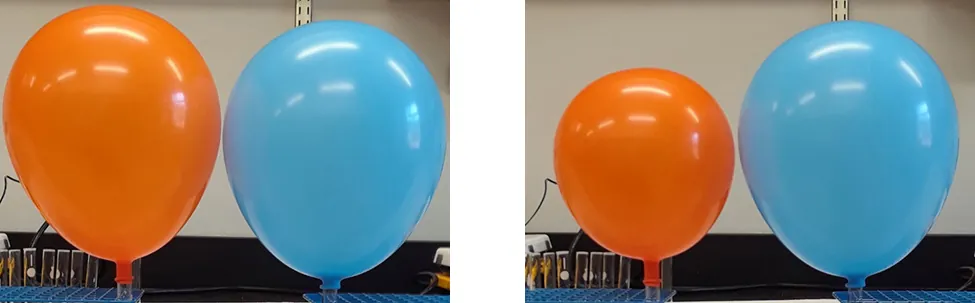 Esta figura muestra dos fotos. La primera foto muestra un globo naranja inflado y un globo azul inflado. Ambos globos son del mismo tamaño. La segunda foto muestra los mismos globos, pero el naranja es ahora más pequeño que el azul.
