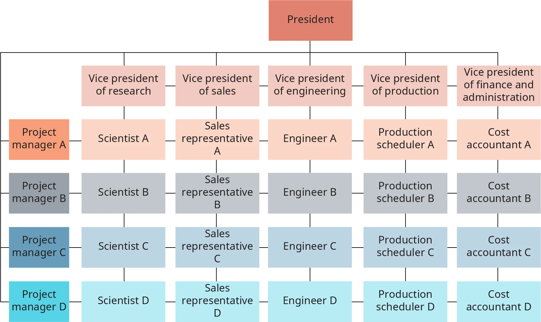 The matrix is made up of 5 columns and 4 rows. At the top of the matrix is the president; the president has lines extending to each column and row. The rows, from top to bottom, are labeled, Project manager A and Project manager B, and Project manager C, and Project manager D. From left to right, the columns are labeled Vice president of research and Vice president of sales, and Vice president of engineering, and Vice president of production, and Vice president of finance and administration. From left to right, the cells in the first row read, Scientist A, and Sales Representative A, and Engineer A, and Production Scheduler A, and Cost accountant A. Each row has this same construction, with scientist under v p of research; and sales rep under v p of sales, and engineer under v p of engineering, and production scheduler under v p of production, and cost accountant under v p of finance and admin.