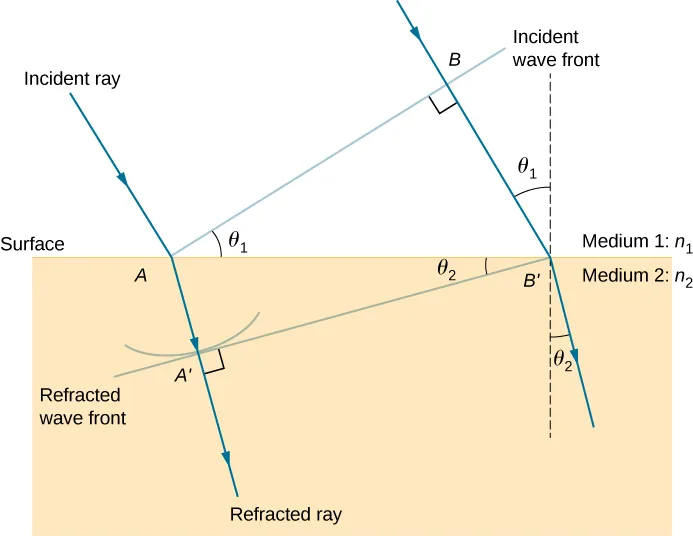 This figure illustrates the geometry of the refraction of the rays and wave fronts. A horizontal surface is present between medium 1, with index of refraction n 1, and medium 2, with index of refraction n 2. An incident ray is shown coming in from medium 1 into medium 2. It hits the surface at point A and refracts toward the normal in medium 2.  A line, labeled incident wave front, is drawn from point A extending away from the surface, perpendicular to the incident ray. The angle between the incident wave front and the surface is theta 1. A second incident ray is drawn parallel to the first one. This ray intersects the incident wave front at a point labeled as B and hits the surface at a point labeled as B prime. A dashed line is drawn perpendicular to the surface at B prime. The angle between this perpendicular line and the second ray is also theta one.  The triangle formed by A, B, and B prime is a right triangle with angle theta one at A and a right angle at B. The refracted rays at A and B prime bend down, toward the downward perpendiculars to the surface, making an angle of theta two with the vertical direction.  The refracted wave front that is perpendicular to the refracted rays and that hits the surface at B prime is drawn. This wave front hits the refraction of the first incident ray at a point marked A prime and makes an angle of theta two with the surface.