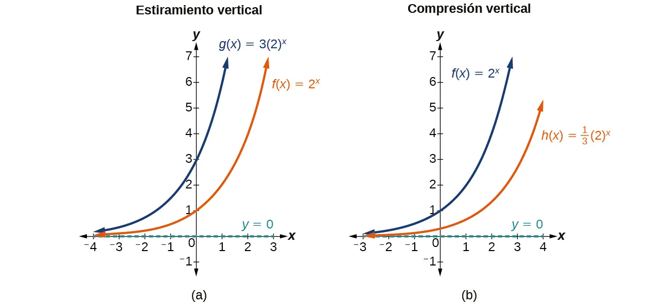 Dos gráficos, donde el gráfico a es un ejemplo de estiramiento vertical y el gráfico b es un ejemplo de compresión vertical.