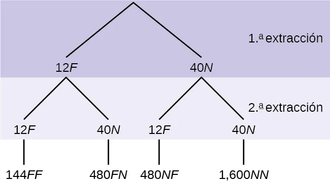 Se trata de un diagrama de árbol con ramas que muestran las frecuencias de cada vez que saca una. La primera rama muestra dos líneas: 12F y 40N. La segunda rama tiene un conjunto de dos líneas (12F y 40N) para cada línea de la primera rama. Multiplique a lo largo de cada línea para hallar 144FF, 480FN, 480NF y 1.600NN.