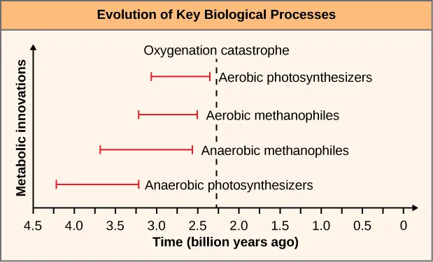 This graph is labeled Evolution of Key Biological processes. The Y axis is labeled Metabolic Innovations and the X axis is labeled Time (billion years ago) with the markings, 4.5, 4.0, 3.5, 3.0, 2.5, 2.0, 1.5, 1.0, 0.5, and 0. The first markings from 4.2 to 3.2 is a straight red line marked Anaerobic Photosynthesizers. The second red line goes from 3.7 to 2.5 and it is labeled Anerobic methanophiles. The next red line is from 3.2 to 2.5 and it is labeled Aerobic Methanophiles. The last red line goes from 3.0 to 2.2 and is labeled aerobic photosynthesizers.